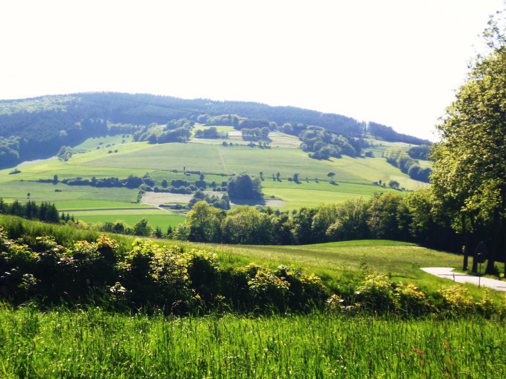 Apartment Preising Willingen  Rum bild