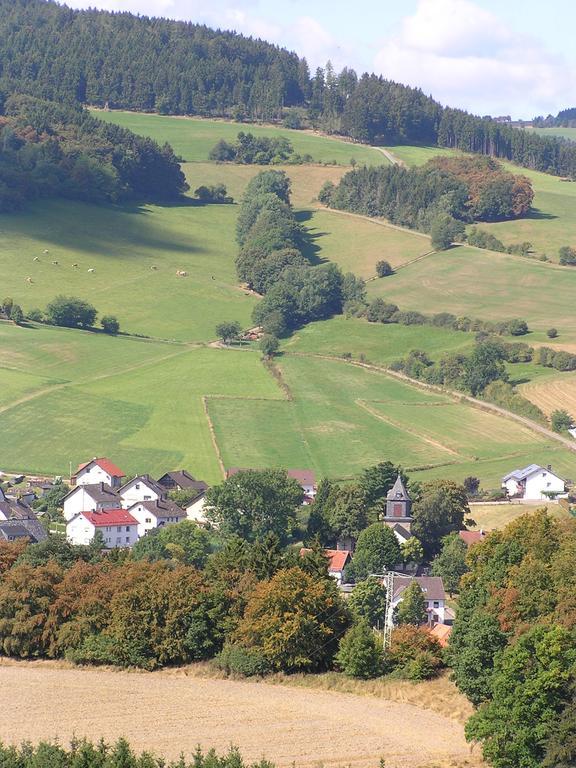 Apartment Preising Willingen  Exteriör bild